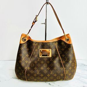 Louis Vuitton Brown and Tan Hobo Bag